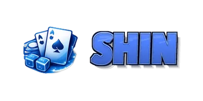shin bet